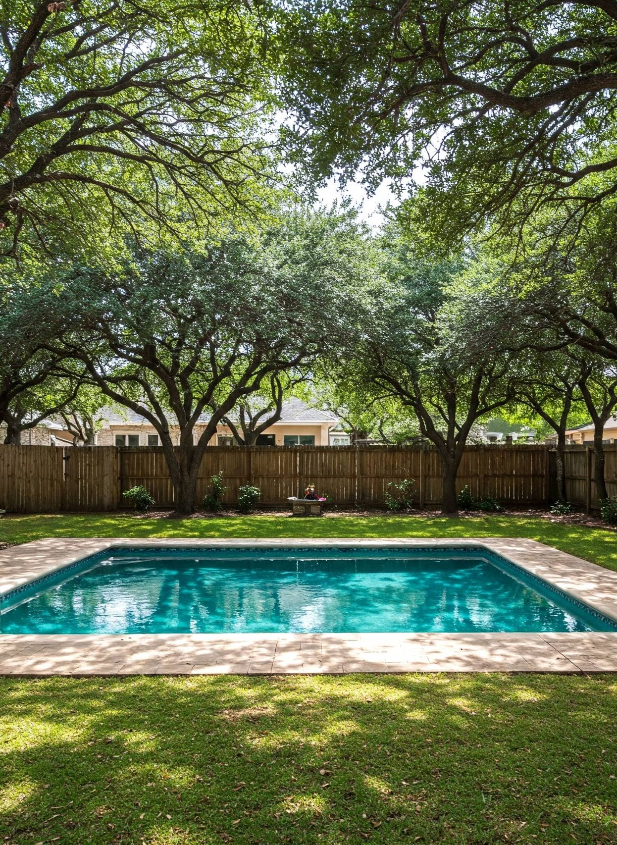 Backyard pool surrounded by mature live oak trees in Austin
